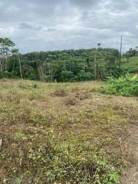 Concession foncière à Attinguié (Anyama) – 1 991,265 m²